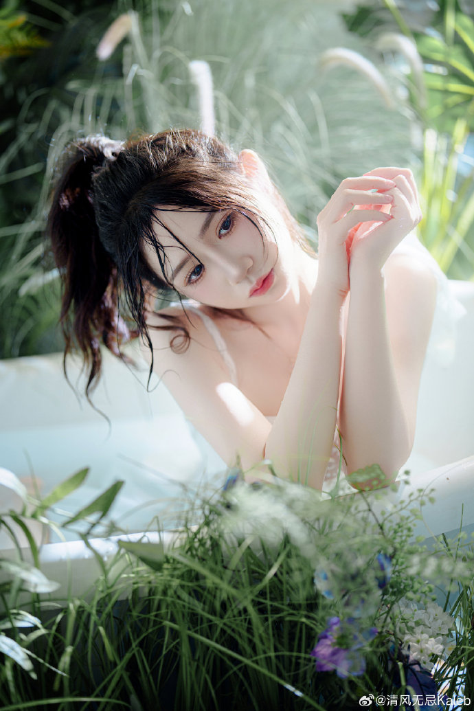 紫罗兰永恒花园 封面
