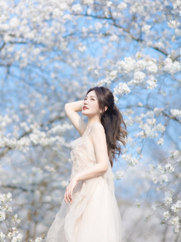 李茶的姑妈 封面
